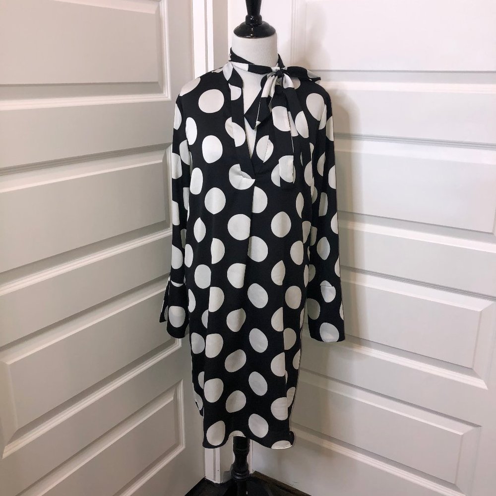 Ann Taylor polka dot swing shirt dress